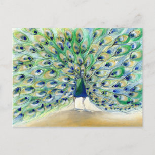 Peacock in San Diego 2013 Briefkaart