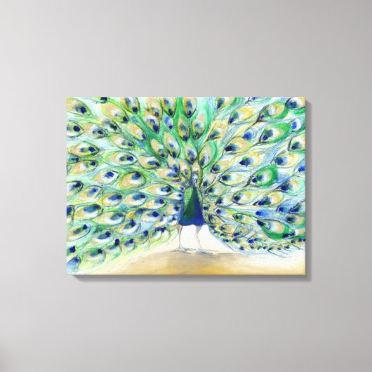 Peacock in San Diego 2013 Canvas Afdruk (Voorkant)