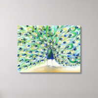 Peacock in San Diego 2013