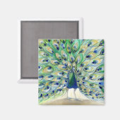 Peacock in San Diego 2013 Magneet (Voorkant / Achterkant)