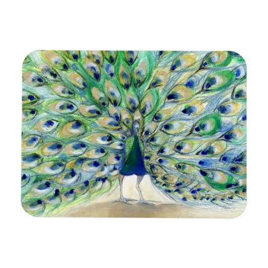 Peacock in San Diego 2013 Magneet (Horizontaal)