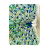 Peacock in San Diego 2013 Magneet (Verticaal)