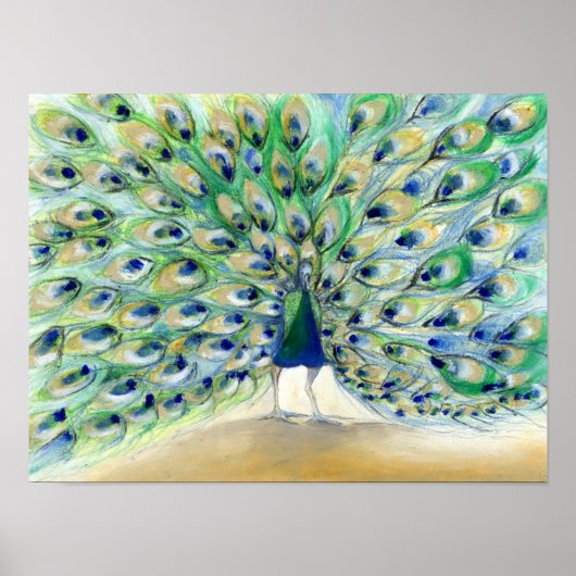 Peacock in San Diego 2013 Poster (Voorkant)