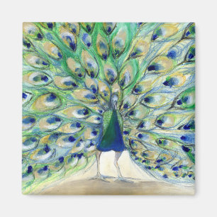 Peacock in San Diego 2 2013 Magneet