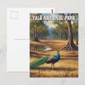 Peacock in Sri Lanka Yala National Park Reizen Briefkaart (Voorkant / Achterkant)