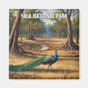 Peacock in Sri Lanka Yala National Park Reizen Magneet