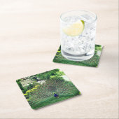 Peacock in Tuin foto Aangepaste Vierkante Onderzet Kartonnen Onderzetters (Insitu)