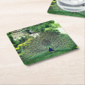 Peacock in Tuin foto Aangepaste Vierkante Onderzet Kartonnen Onderzetters (Schuin)