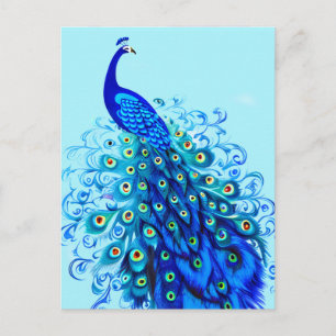 Peacock in Turquoise, Cobalt Blue en Aqua Briefkaart