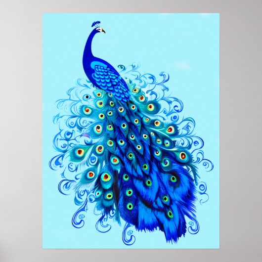 Peacock in Turquoise en Cobalt Blue Poster (Voorkant)