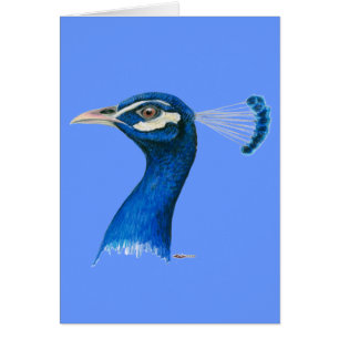 Peacock: Indiaans blauw