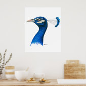 Peacock: Indiaans blauw Poster (Keuken)