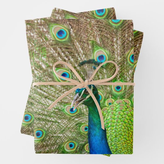 Peacock Inpakpapier Vel (In situ)