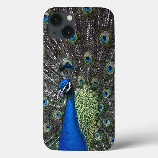 Peacock iPad draagtas Case-Mate iPhone Case (Achterkant)