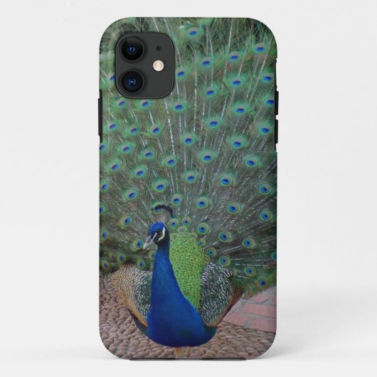 Peacock iPhone 5 Hoesje (Achterkant)