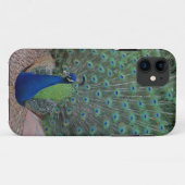 Peacock iPhone 5 Hoesje (Achterkant (horizontaal))