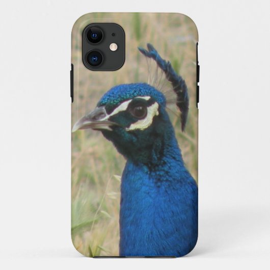 Peacock iPhone 5 Hoesje (Achterkant)