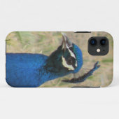 Peacock iPhone 5 Hoesje (Achterkant (horizontaal))