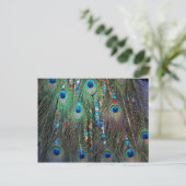 Peacock Jewelery Briefkaart (Staand voorkant)