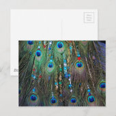 Peacock Jewelery Briefkaart (Voorkant / Achterkant)