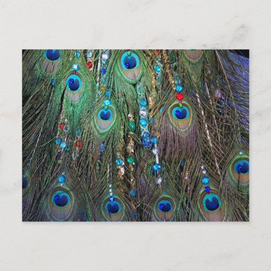 Peacock Jewelery Briefkaart (Voorkant)