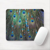 Peacock Jewelery Muismat (Met muis)