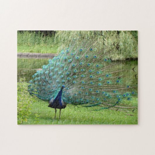 Peacock Jigzaag Legpuzzel (Horizontaal)
