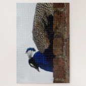 Peacock Jigzaag Puzzle Legpuzzel (Verticaal)