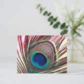 peacock.jpg briefkaart (Staand voorkant)