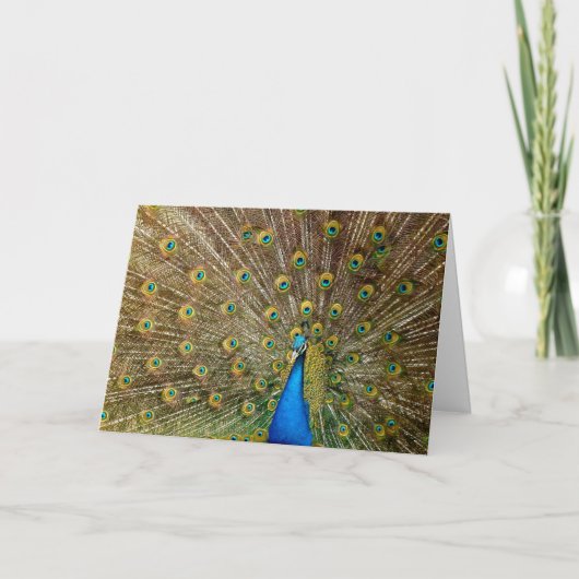 Peacock Jubileum Kaart (Voorkant)