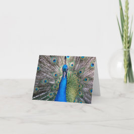 Peacock Kaart