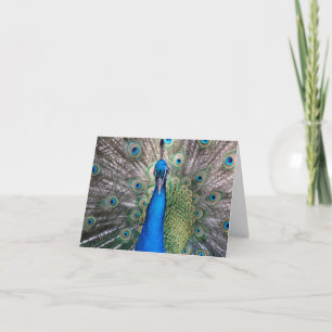Peacock Kaart