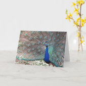 Peacock Kaart (Gele Bloem)