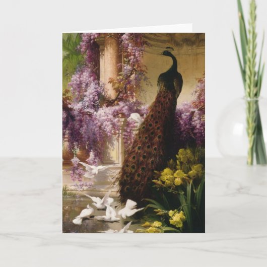 Peacock Kaart (Voorkant)