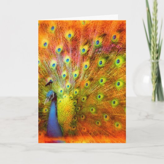 Peacock Kaart (Voorkant)