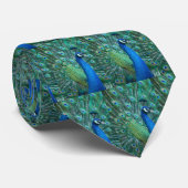 Peacock Kaleidascope Stropdas (Opgerold)