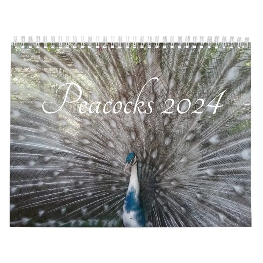 Peacock Kalender 2024 (Hoes)