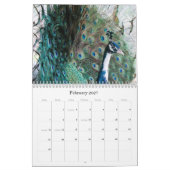 Peacock Kalender 2024 (Feb 2027)