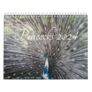 Peacock Kalender 2024
