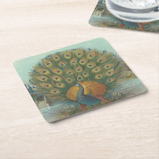 Peacock Kartonnen Onderzetters (Schuin)