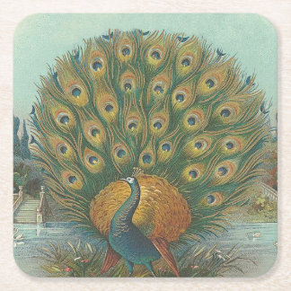 Peacock Kartonnen Onderzetters