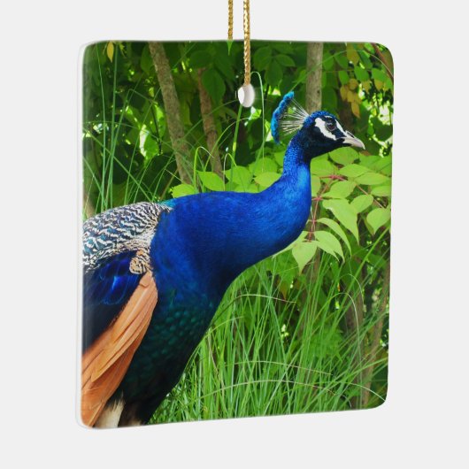 Peacock Keramisch Ornament (Rechts)