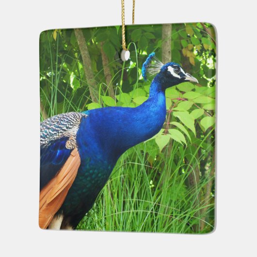 Peacock Keramisch Ornament (Links)