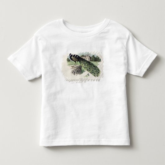 Peacock Kinder Shirts (Voorkant)