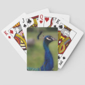 Peacock Klassieke speelkaarten (Achterkant)
