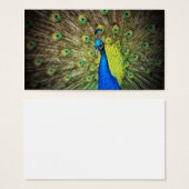 Peacock Kleur Schoonheid Visitekaartje (Voorkant /achterkant)