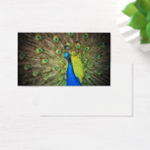 Peacock Kleur Schoonheid Visitekaartje (Bureau)