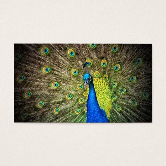 Peacock Kleur Schoonheid Visitekaartje (Voorkant)