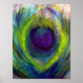 Peacock - Kunstafdrukken Poster (Voorkant)