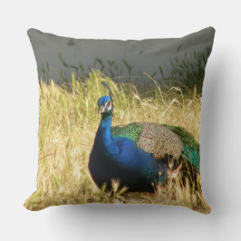 Peacock Kussen